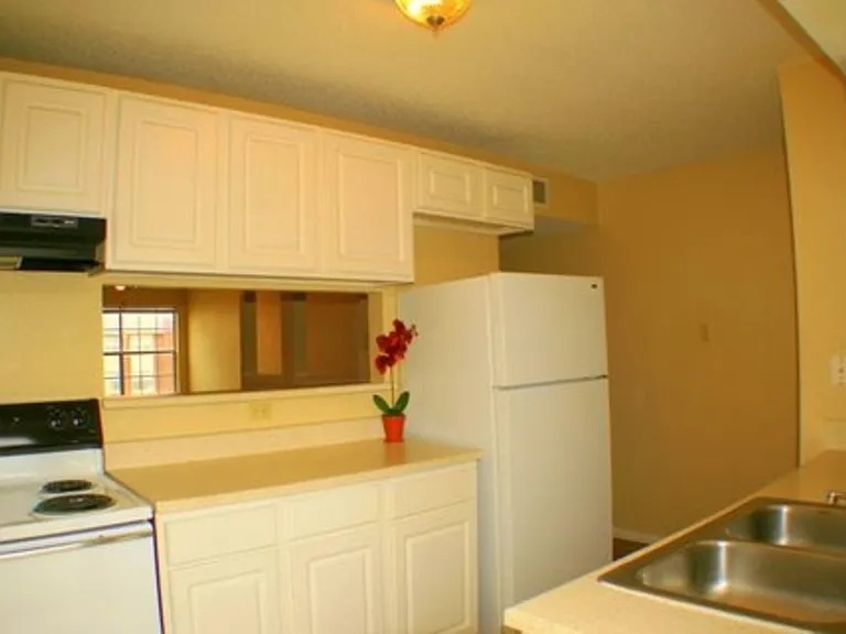 3532 Chatham Green Ln — Photo 15