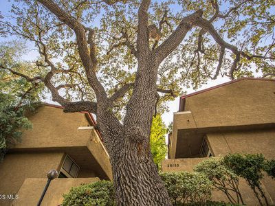 28142 W Driver Ave #4, Agoura Hills, CA, 91301