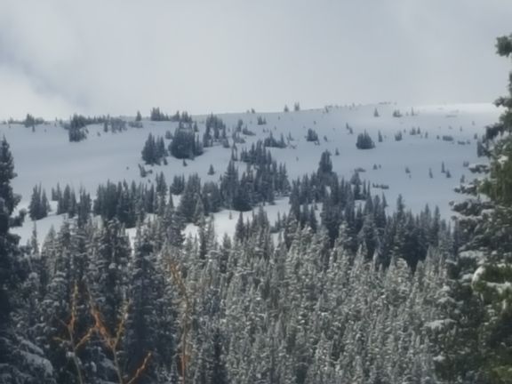 3rd image of 249 Lee Ln