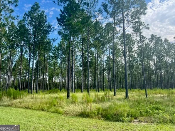 33206 Canoochee Rd, Metter, GA 30439