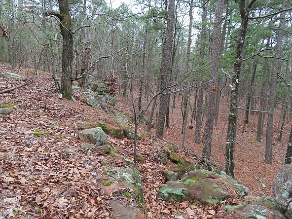 5th image of Panola Rd