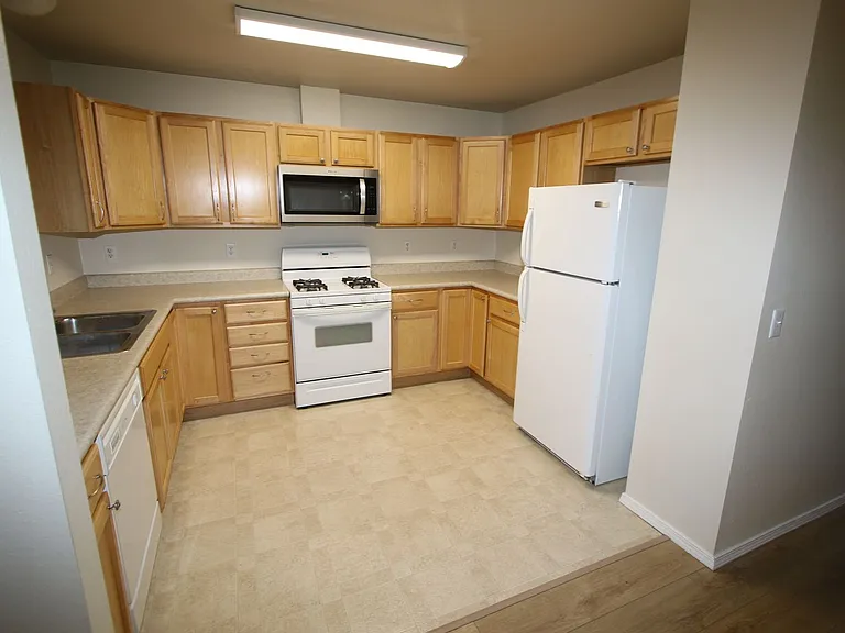 16202 Ursa Minor Cir — Photo 17