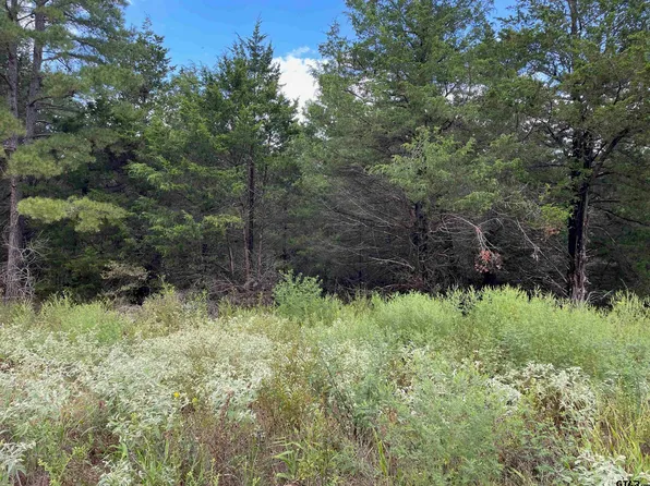 Cedarpark Pl Lot 17, Lindale, TX 75771