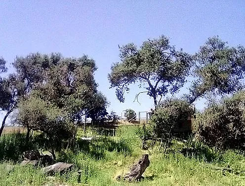 E Vista Way — Photo 9