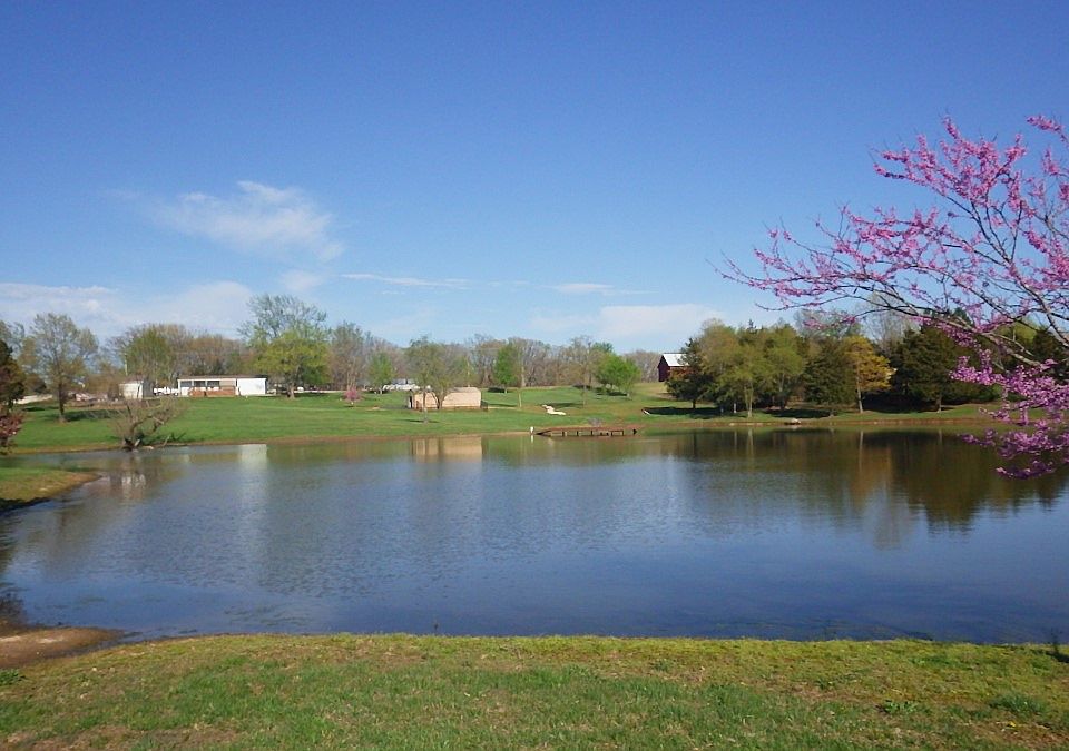 View from back property