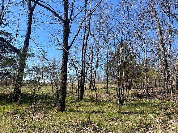 4th image of 8729 Mountain Valley Road