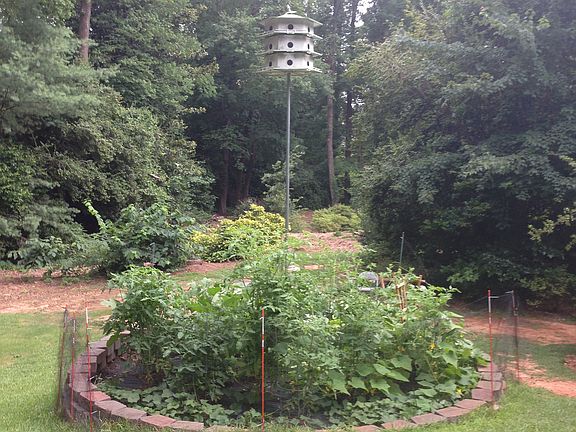 Vegetable Garden