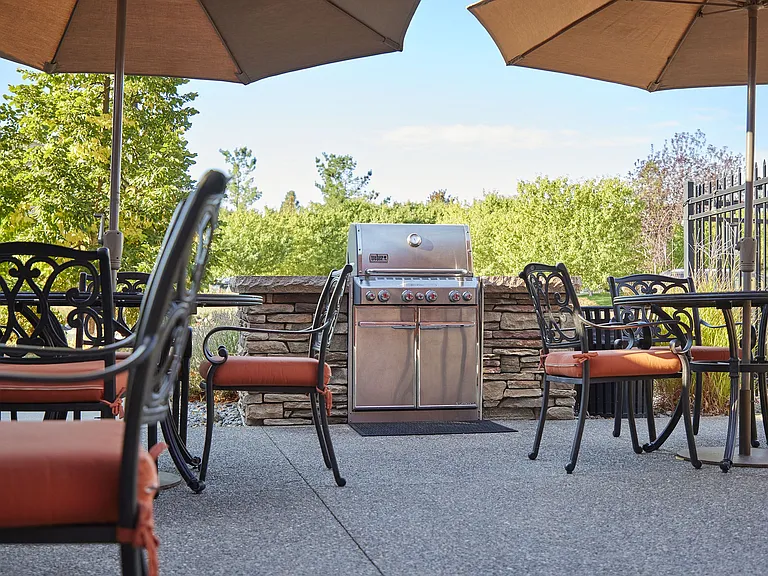 BBQ Grills