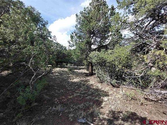 4th image of 256 Sunrise Road
