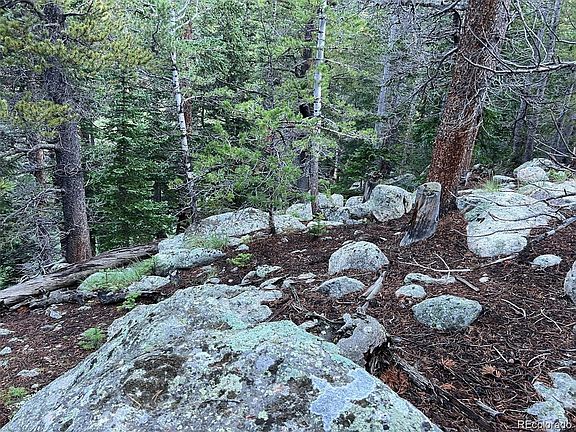 2nd image of 111 Lake Road