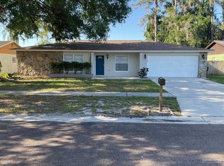 4105 Eastridge Dr, Valrico, FL 33596
