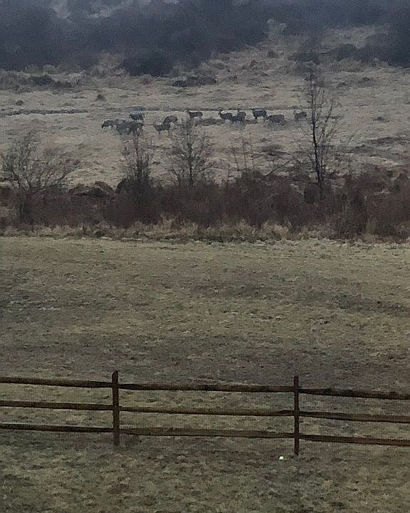 View from your Deck