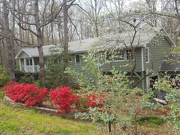 Azaleas and Blueberries!