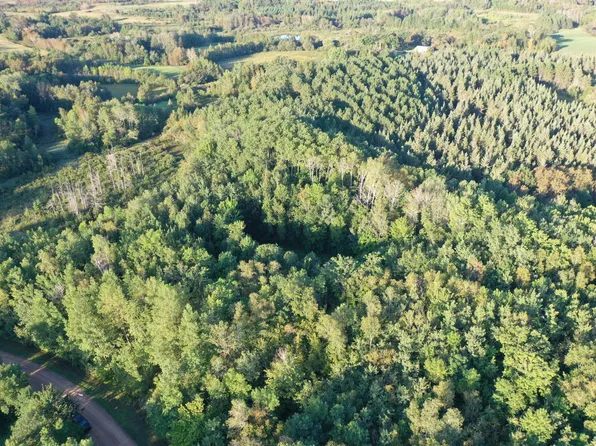 Tbdx Bass Lake Rd, Osage, MN 56570