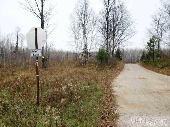 426 Tbd Co Rd, Ralph, MI 49877