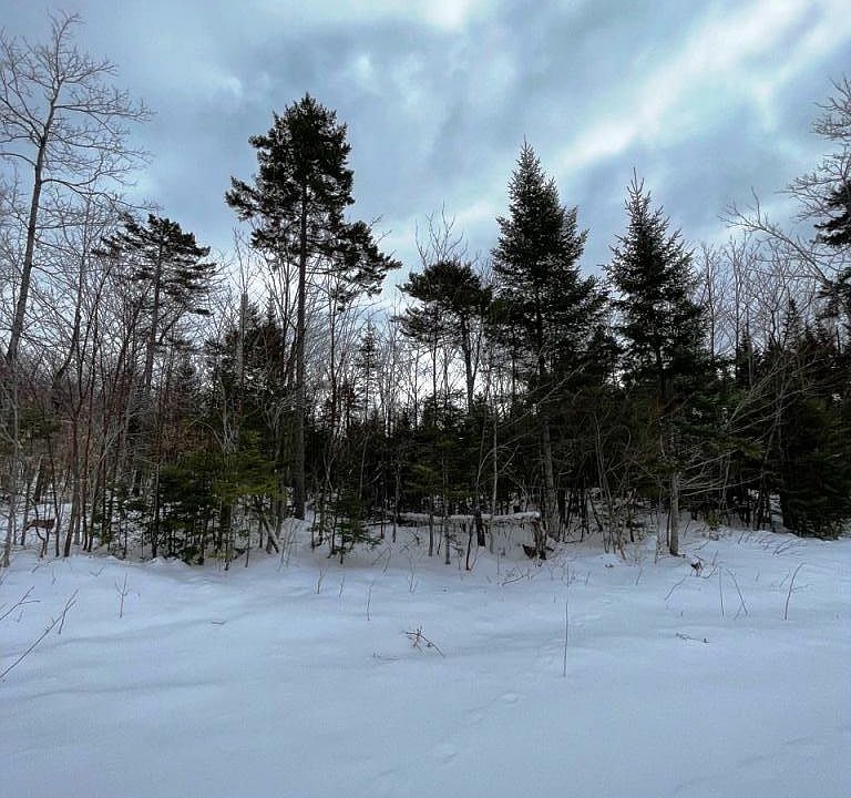 1st image of Lot 6 Black Bear Extension
