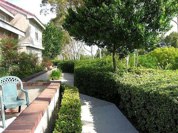 Looking Up Greenbelt Outside Front of 73 Wellesley