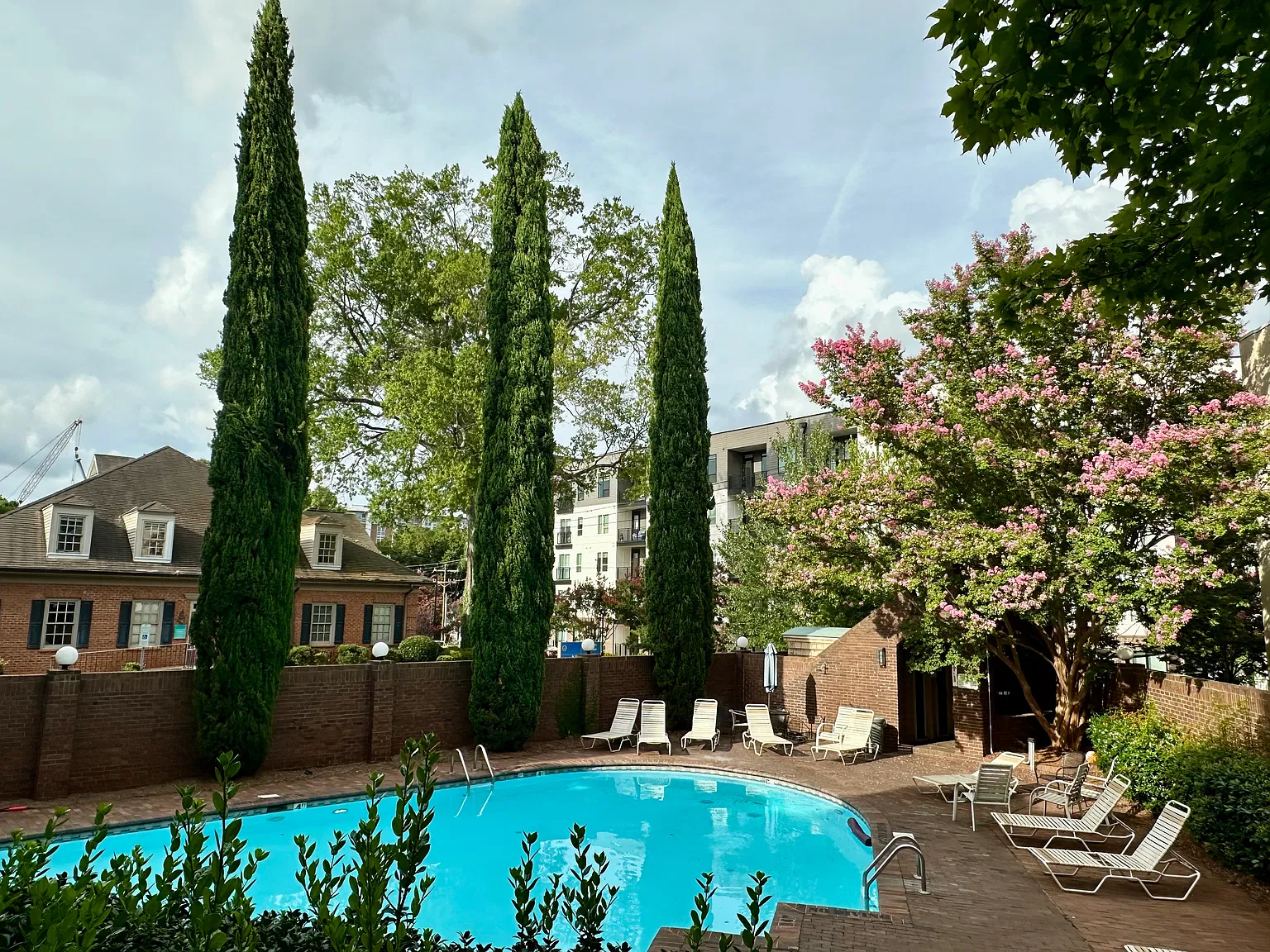 E Morehead St, Charlotte — Photo 4