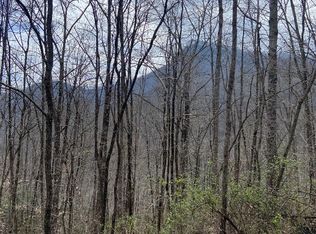 27A Mayfly, Tuckasegee, NC 28783