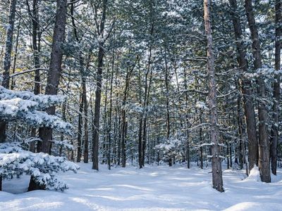 11488 Fredmar Dr, Interlochen, MI, 49643