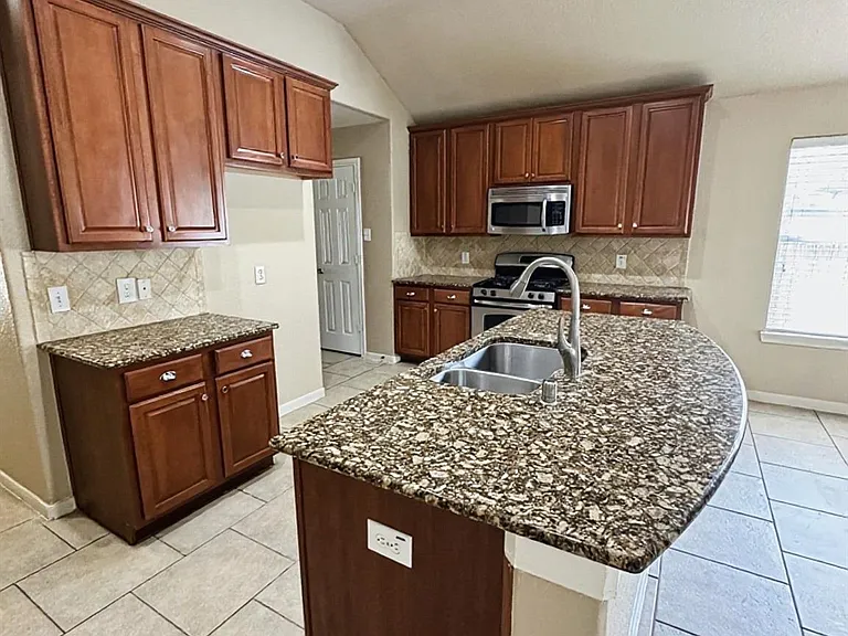 19523 Country Mountain Ct — Photo 10