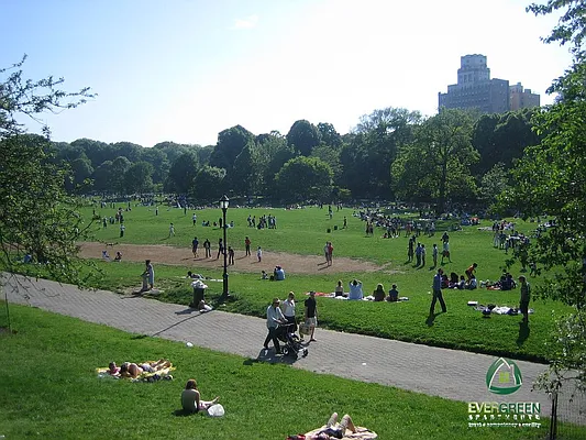 Rented by Evergreen Apartments BK | media 12