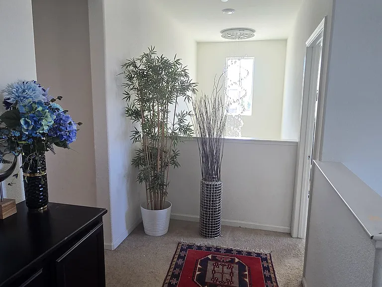 3159 Tostalinda Dr — Photo 20