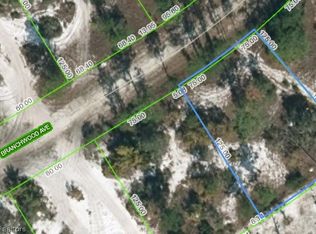 546 Branchwood Ave, Lake Placid, FL 33852