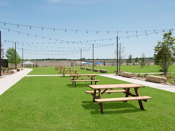 Picnic & Social Area