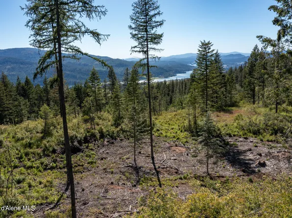 PARCEL 2 Gold Cup Mtn, Priest River, ID 83856