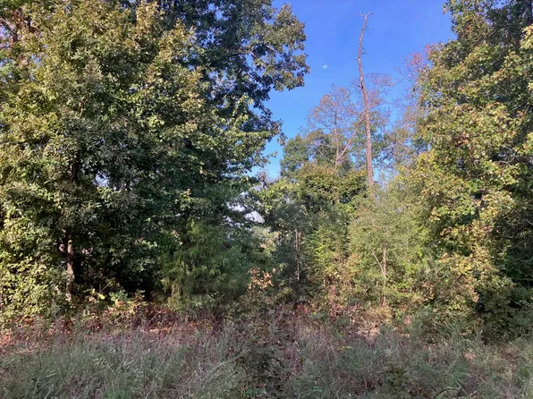 Tucker Road Walsh Dr, Hardy, AR 72542