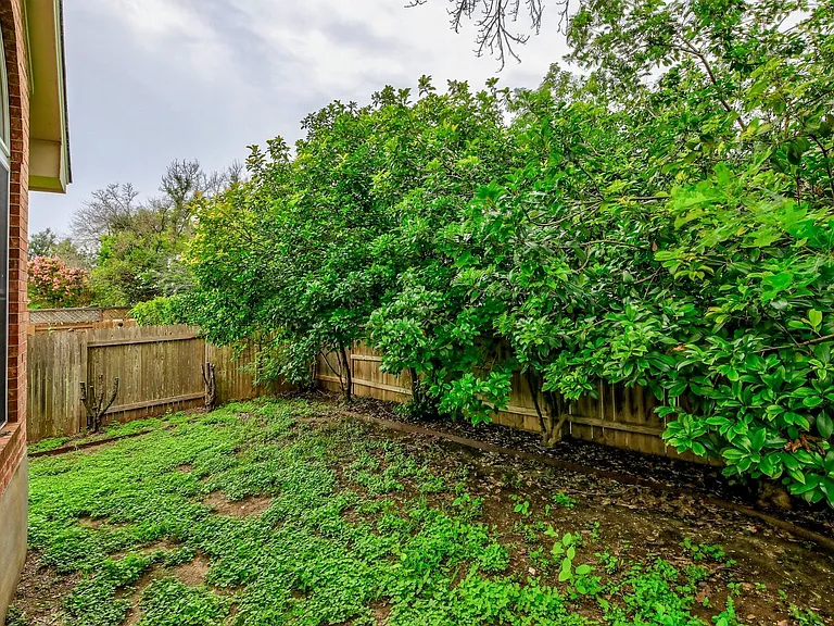 13524 Oregon Flats Trl — Photo 8