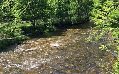 2nd image of Double Creek Dr