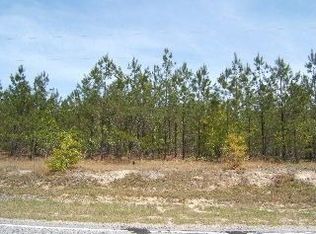 950 Robinson Town Rd, Cassatt, SC 29032