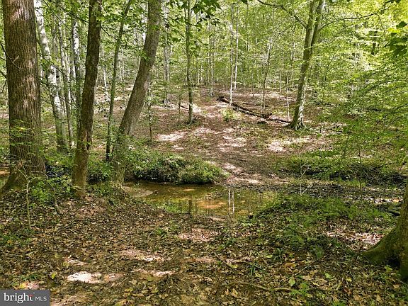 3rd image of Holly Springs Rd
