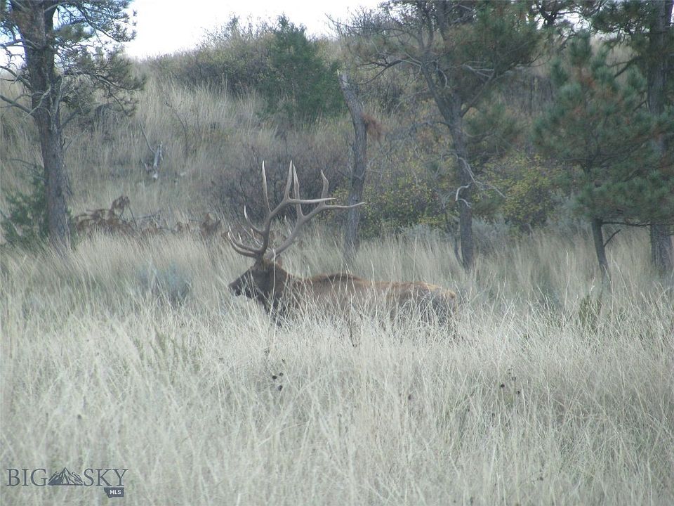 4030 Custer Frontage Rd, Pompeys Pillar, MT 59064 MLS 344533 Zillow