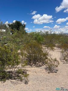 214 Montreal Ave, Elephant Butte, NM, 87935