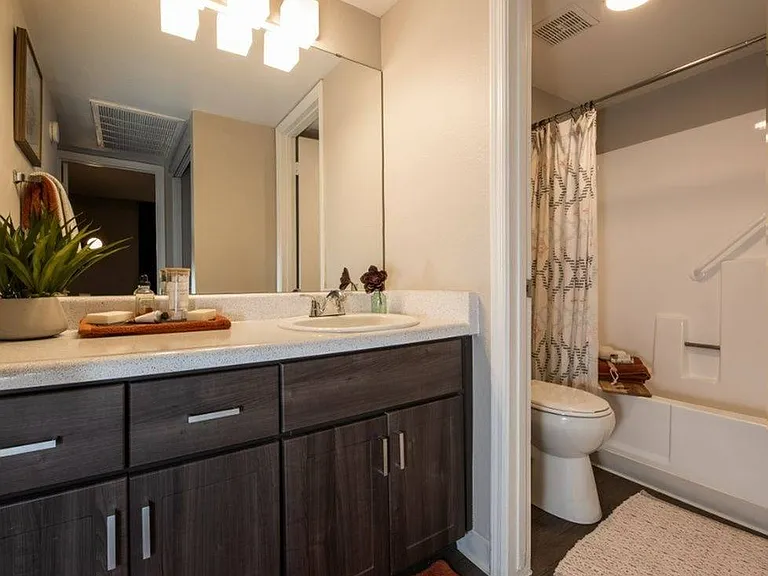 Espresso Bathroom