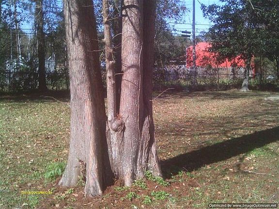 15941 Albany Initial Insp 1-18-2013 005