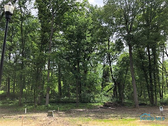 5th image of 11141 Preserve Blvd