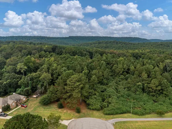 5981 Miles Spring Rd #1, Pinson, AL 35126