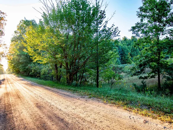 0 W Hazel Rd, Hart, MI 49420