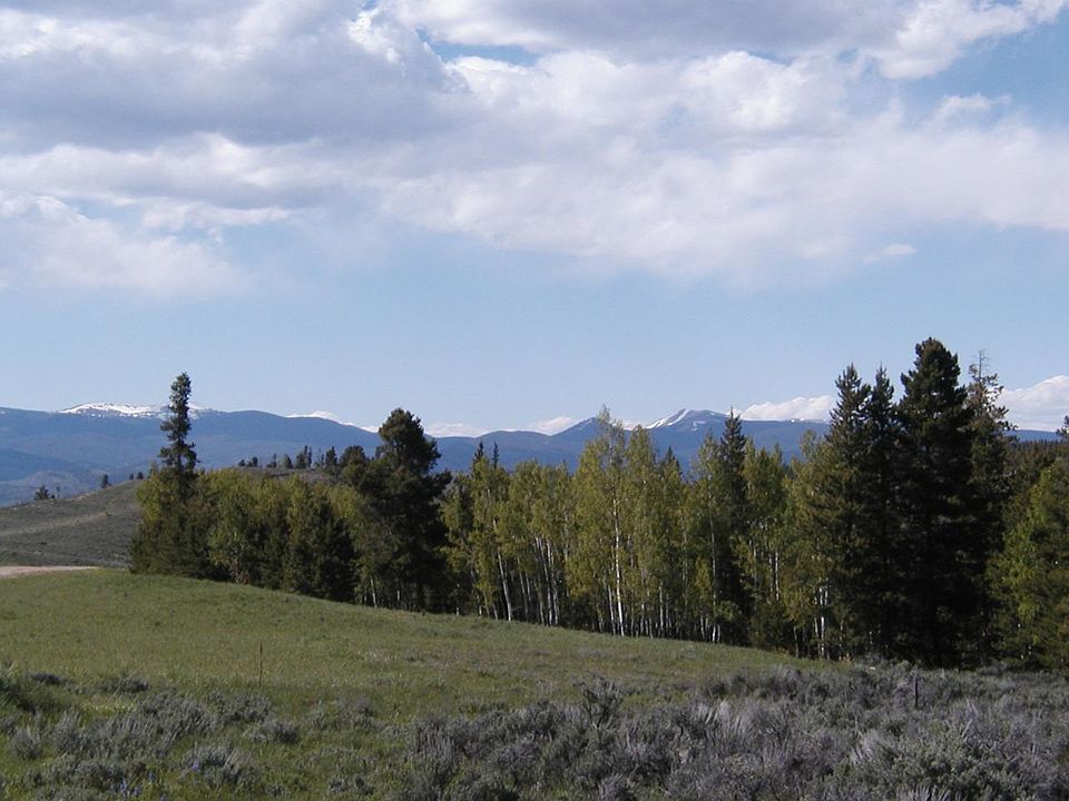 1st image of 790 Williss Road