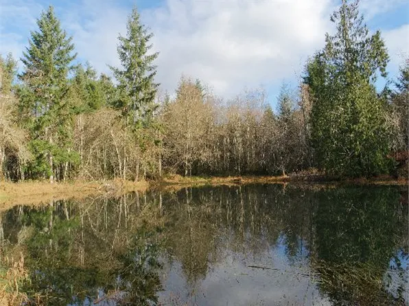 Garrard Creek Rd, Oakville, WA 98568