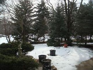 4th image of 107 Dahlia Ct