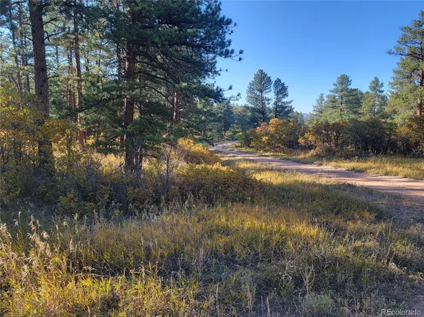 00 Mohawk Drive, Larkspur, CO 80118