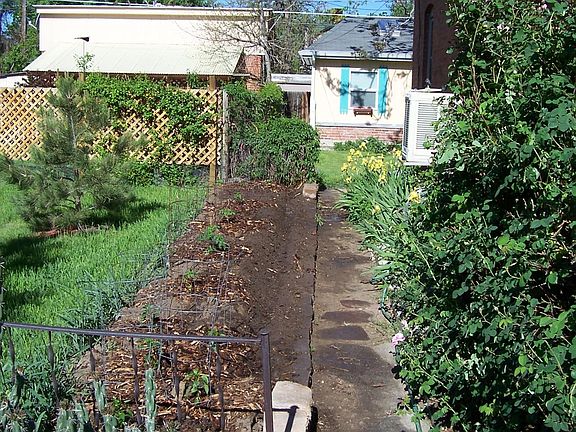 South facing garden