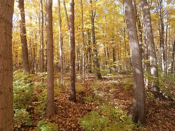 Beautiful fall grounds