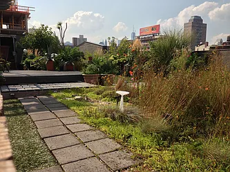 Rented by Owen C Wright, LREB