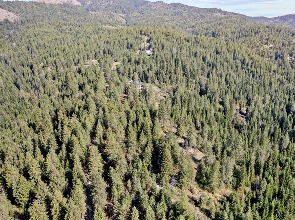 12703 S Alpine Fern Ln, Rockford, WA 99030